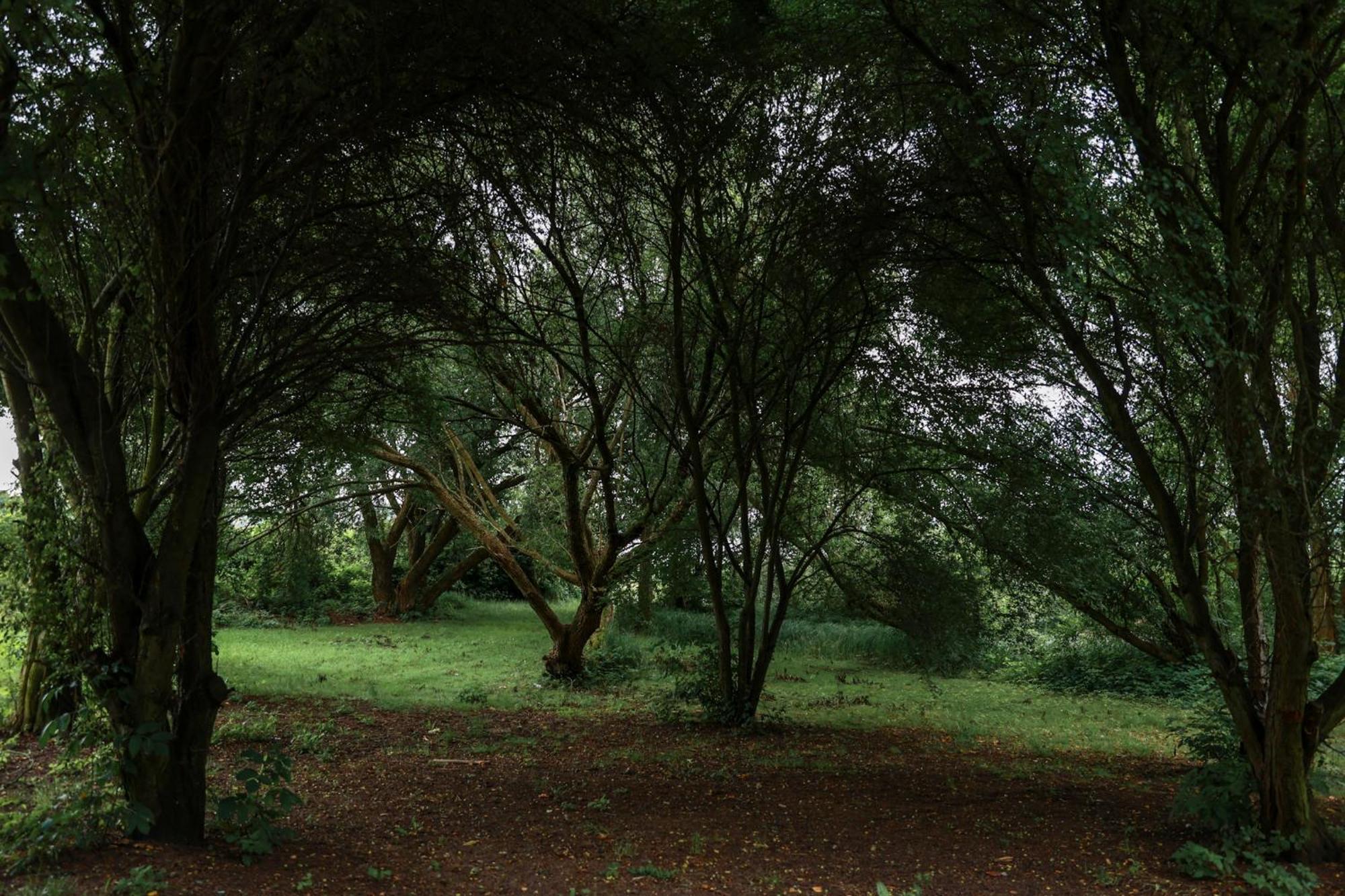 Jej I Jego - Eleganckie Domki Z Balia Na Wylacznosc Niewiesze Kültér fotó